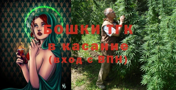 СК Новозыбков