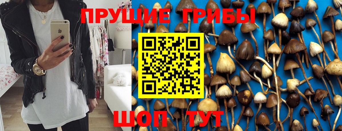 Галлюциногенные грибы мухоморы Фурманов