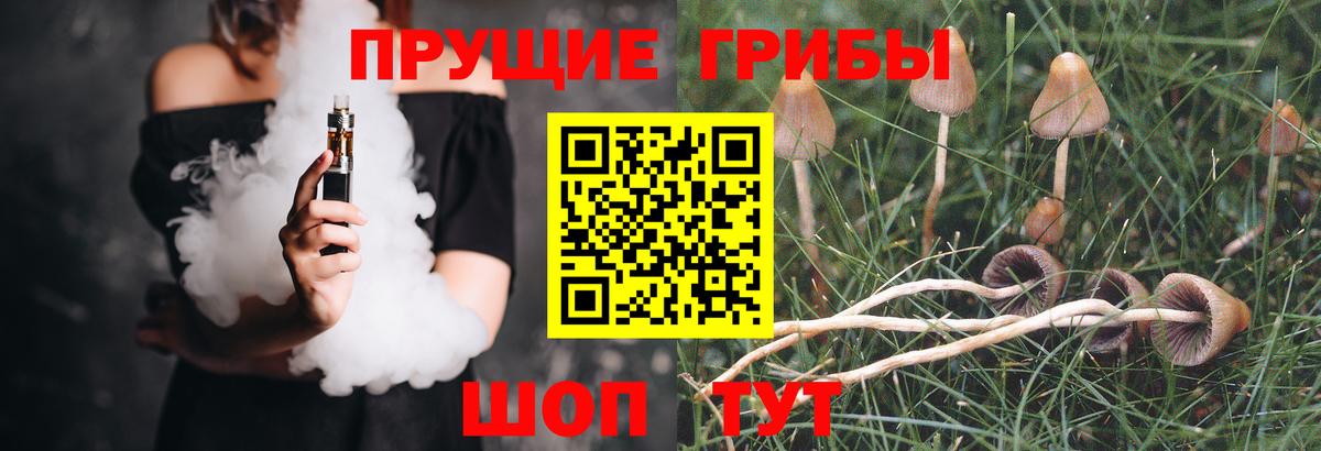 Псилоцибиновые грибы Magic Shrooms  как найти   Фурманов  Вход с VPN  Галлюциногенные грибы Magic Shrooms 